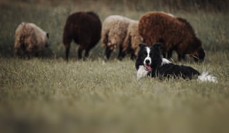 Side-by-side: D365 Finance vs. Best-of-breed AP automation