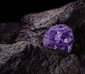 Buyer's Guide: Assessing AP automation software